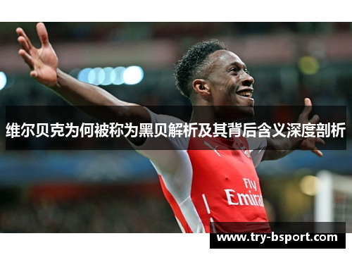 维尔贝克为何被称为黑贝解析及其背后含义深度剖析