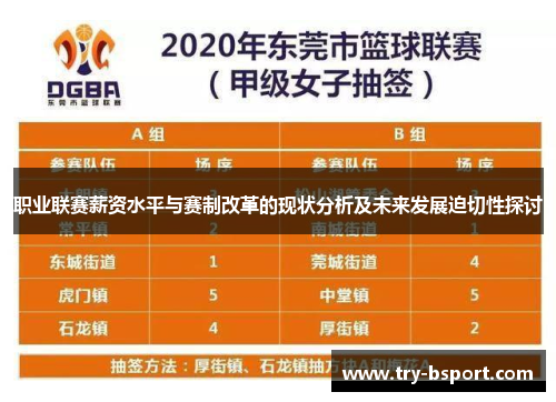 职业联赛薪资水平与赛制改革的现状分析及未来发展迫切性探讨 职业联赛薪资水平与赛制改革的现状分析及未来发展迫切性探讨