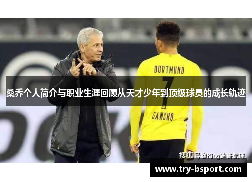 桑乔个人简介与职业生涯回顾从天才少年到顶级球员的成长轨迹 桑乔个人简介与职业生涯回顾从天才少年到顶级球员的成长轨迹