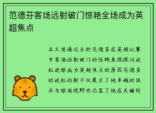 范德芬客场远射破门惊艳全场成为英超焦点